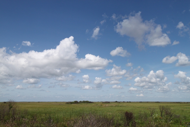 everglades